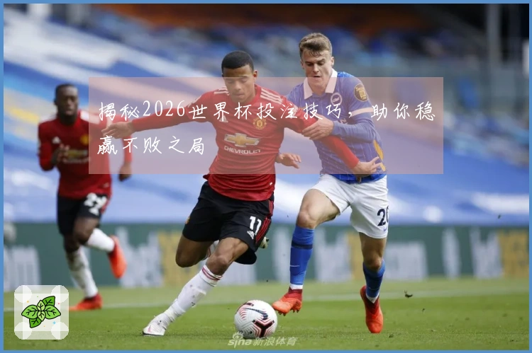 揭秘2026世界杯投注技巧，助你稳赢不败之局