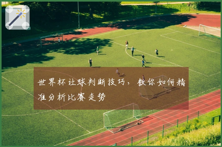 世界杯让球判断技巧，教你如何精准分析比赛走势