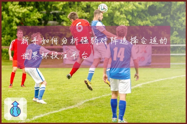 新手如何分析强弱对阵选择合适的世界杯投注平台