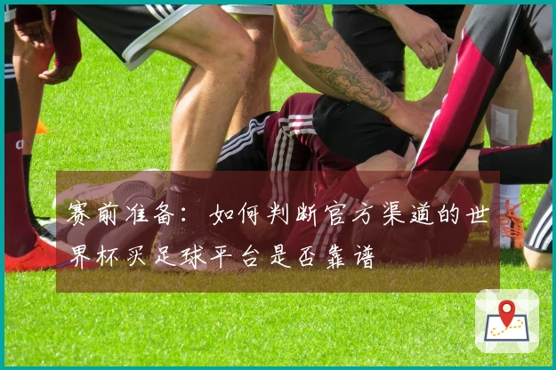 赛前准备：如何判断官方渠道的世界杯买足球平台是否靠谱