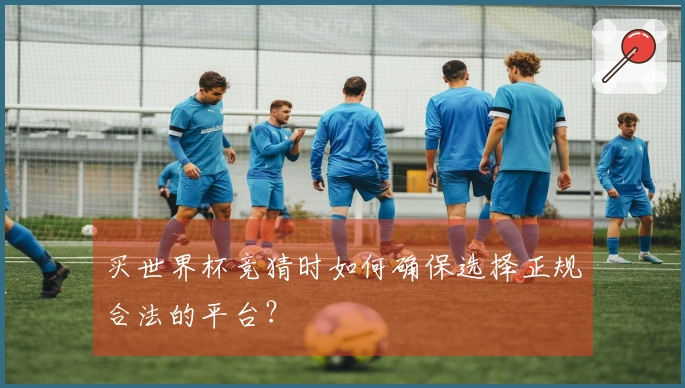 买世界杯竞猜时如何确保选择正规合法的平台？