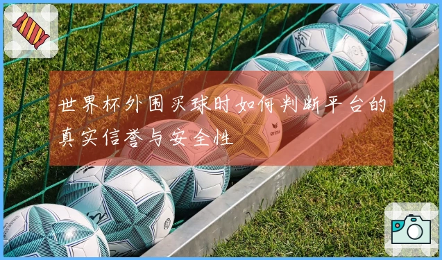 世界杯外围买球时如何判断平台的真实信誉与安全性