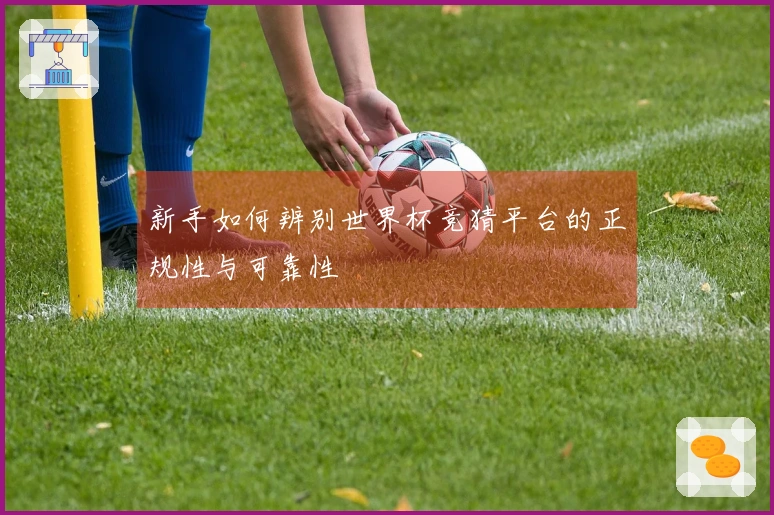 新手如何辨别世界杯竞猜平台的正规性与可靠性