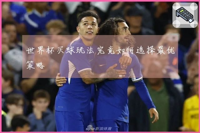 世界杯买球玩法究竟如何选择最优策略