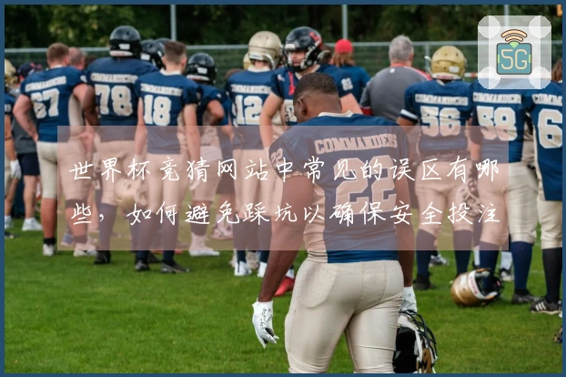 世界杯竞猜网站中常见的误区有哪些，如何避免踩坑以确保安全投注