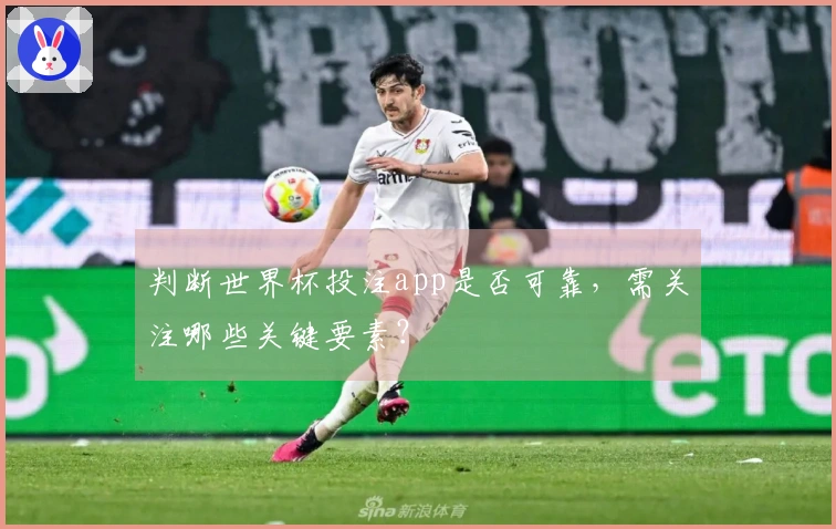 判断世界杯投注app是否可靠，需关注哪些关键要素？