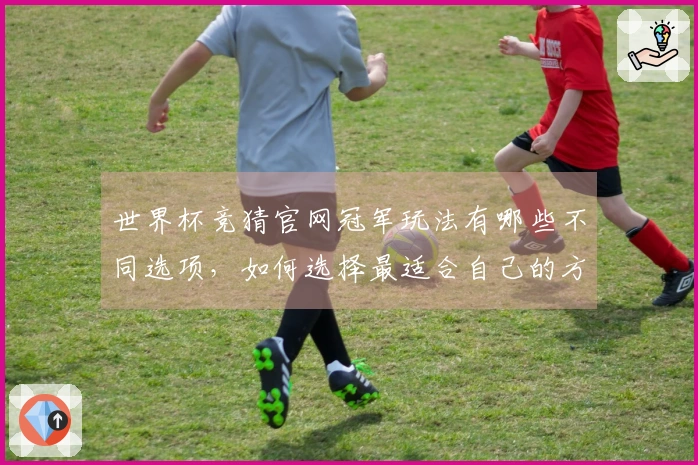 世界杯竞猜官网冠军玩法有哪些不同选项，如何选择最适合自己的方式？