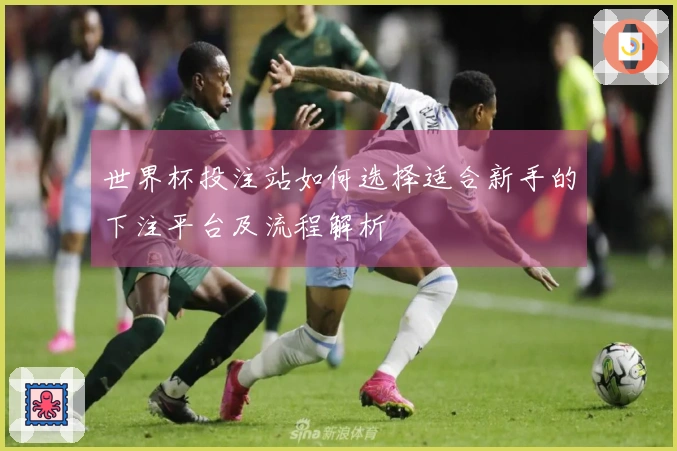 世界杯投注站如何选择适合新手的下注平台及流程解析