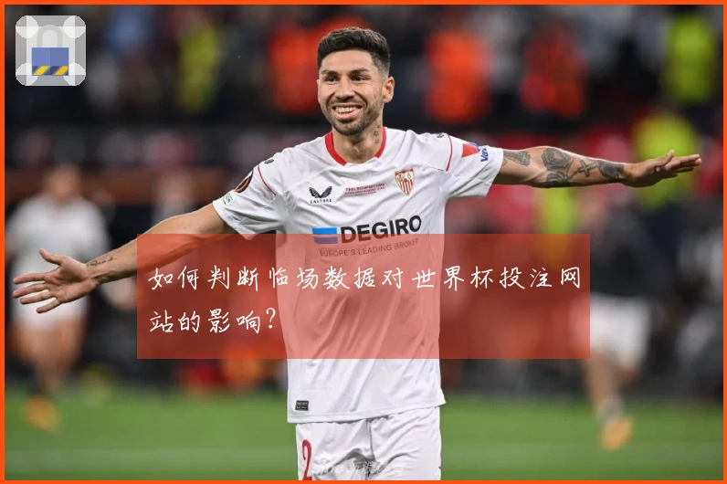 如何判断临场数据对世界杯投注网站的影响？