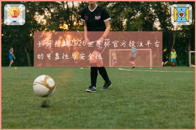 如何判断2026世界杯官方投注平台的可靠性与安全性