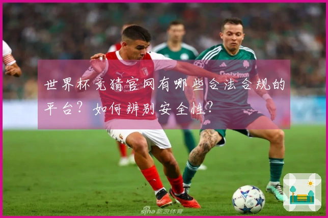 世界杯竞猜官网有哪些合法合规的平台？如何辨别安全性？