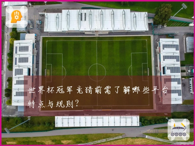 世界杯冠军竞猜前需了解哪些平台特点与规则？