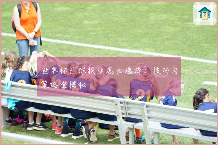 世界杯让球投注怎么选择？技巧与策略全揭秘