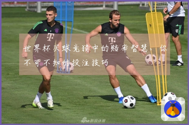 世界杯买球竞猜中的赔率智慧，你不可不知的投注技巧