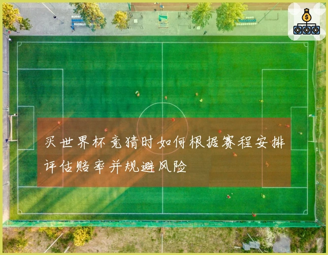 买世界杯竞猜时如何根据赛程安排评估赔率并规避风险