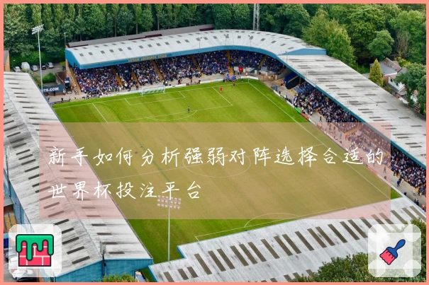 新手如何分析强弱对阵选择合适的世界杯投注平台
