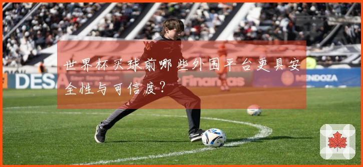 世界杯买球前哪些外围平台更具安全性与可信度？