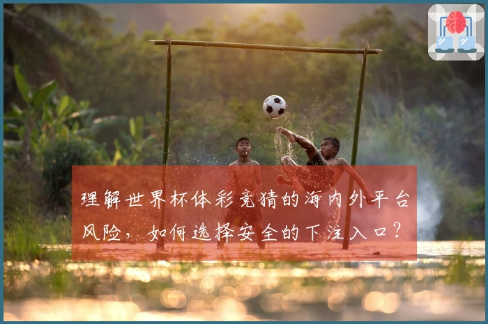 理解世界杯体彩竞猜的海内外平台风险，如何选择安全的下注入口？