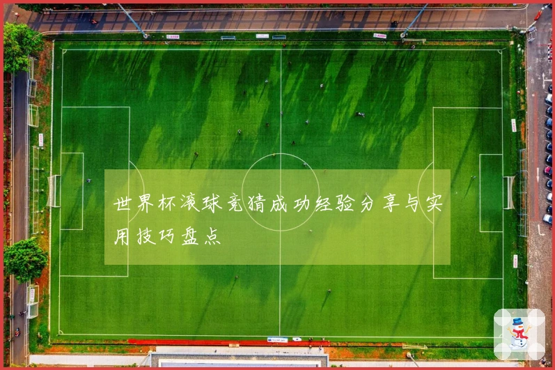 世界杯滚球竞猜成功经验分享与实用技巧盘点
