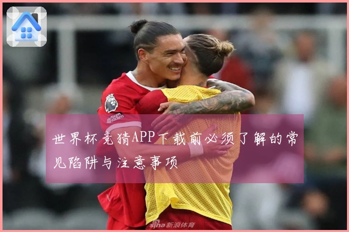 世界杯竞猜APP下载前必须了解的常见陷阱与注意事项