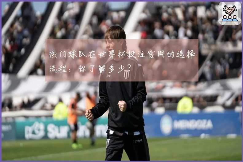 热门球队在世界杯投注官网的选择流程，你了解多少？