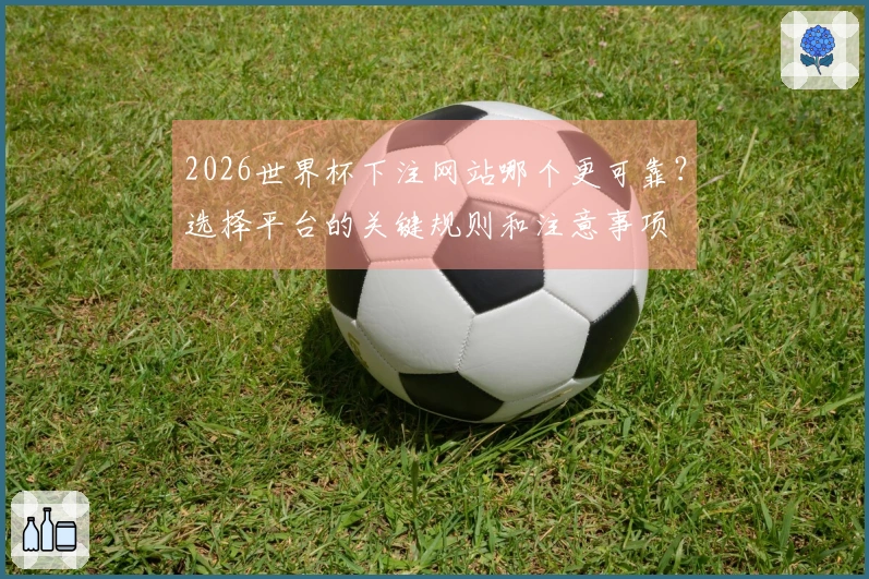 2026世界杯下注网站哪个更可靠？选择平台的关键规则和注意事项