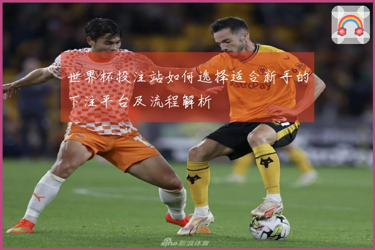 世界杯投注站如何选择适合新手的下注平台及流程解析