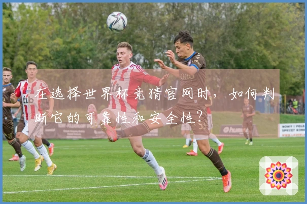 在选择世界杯竞猜官网时，如何判断它的可靠性和安全性？