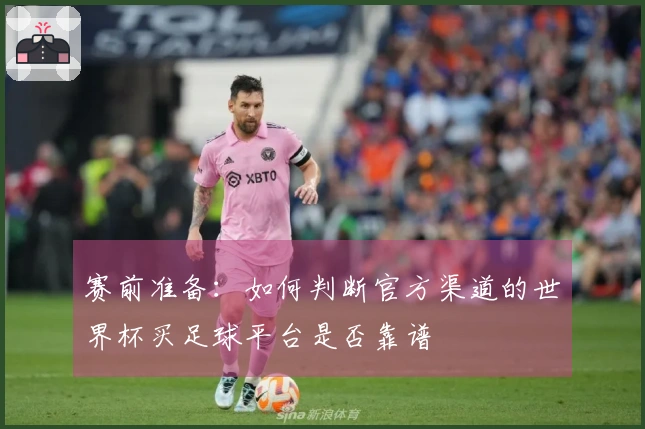 赛前准备：如何判断官方渠道的世界杯买足球平台是否靠谱