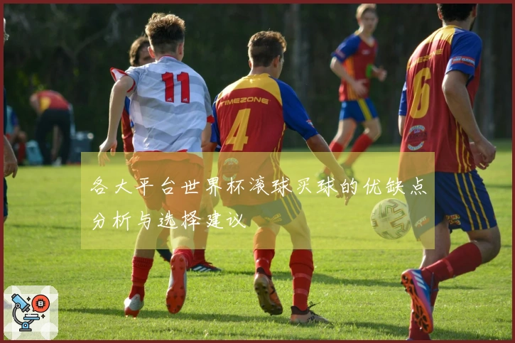 各大平台世界杯滚球买球的优缺点分析与选择建议