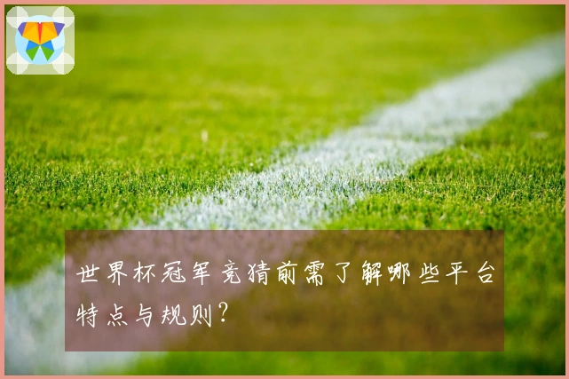 世界杯冠军竞猜前需了解哪些平台特点与规则？