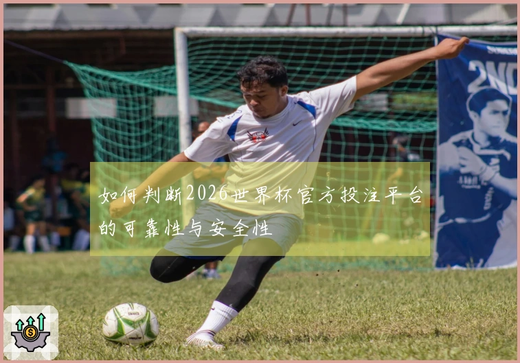 如何判断2026世界杯官方投注平台的可靠性与安全性